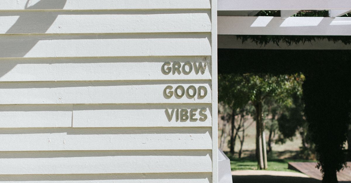 Maximising Water Efficiency in Outdoor Spaces